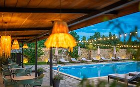 Vineyard Hotel&Winery